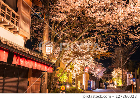 Cherry blossoms at night in Aso Monzencho Shopping Street, Kumamoto Prefecture 127260328