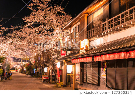Cherry blossoms at night in Aso Monzencho Shopping Street, Kumamoto Prefecture Cherry blossoms at night in Aso Monzencho Shopping Street, Kumamoto Prefecture 127260334