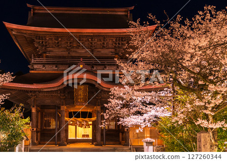 熊本縣阿蘇神社的夜櫻 127260344