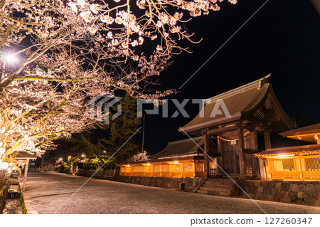 熊本縣阿蘇神社的夜櫻 熊本縣阿蘇神社的夜櫻 127260347