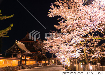 Cherry blossoms at night at Aso Shrine in Kumamoto Prefecture Cherry blossoms at night at Aso Shrine in Kumamoto Prefecture 127260350