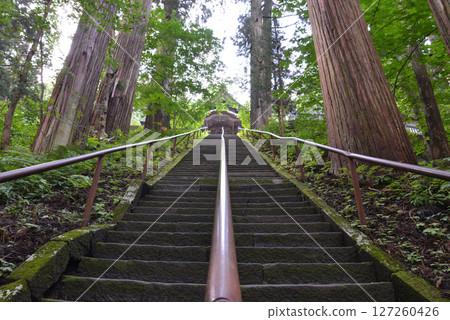 Stone steps to Togakushi Shrine Nakasha Stone steps to Togakushi Shrine Nakasha 127260426