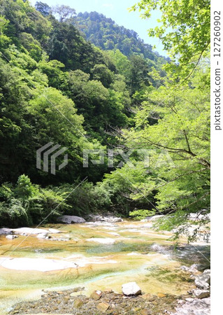 Omogokei Gorge in early summer Omogokei Gorge in early summer 127260902