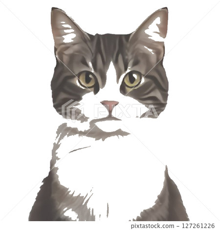 可愛的貓咪插圖,透明背景PNG 可愛的貓咪插圖,透明背景PNG 127261226