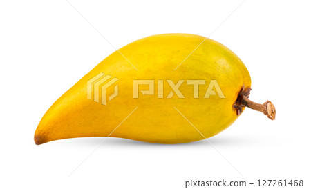 canistel fruit (Egg fruit, Tiesa, Yellow sapote, Canistelsapote, Chesa, Pouteria lucuma) on white background 127261468