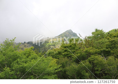 石鎚山脈:備加森山 石鎚山脈:備加森山 127261750
