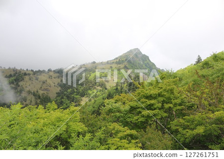 石鎚山脈:備加森山 石鎚山脈:備加森山 127261751
