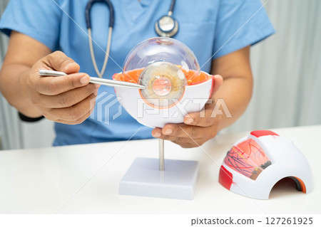 Asian doctor with eye human anatomy model for study diagnosis and treatment in hospital. 127261925