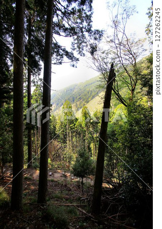 It is said that Ushiwakamaru also trained in military tactics here... Mount Kurama and Kurama Temple It is said that Ushiwakamaru also trained in military tactics here... Mount Kurama and Kurama Temple 127262245