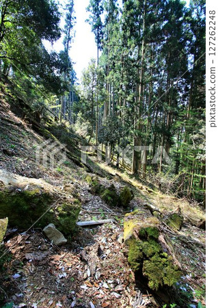 It is said that Ushiwakamaru also trained in military tactics here... Mount Kurama and Kurama Temple It is said that Ushiwakamaru also trained in military tactics here... Mount Kurama and Kurama Temple 127262248