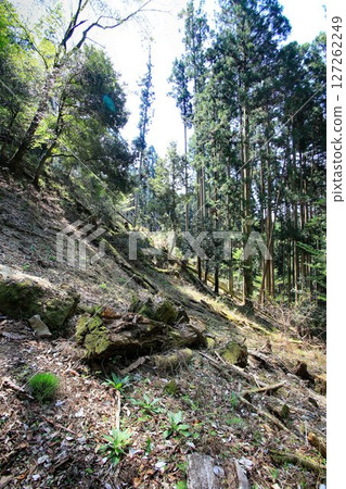 It is said that Ushiwakamaru also trained in military tactics here... Mount Kurama and Kurama Temple It is said that Ushiwakamaru also trained in military tactics here... Mount Kurama and Kurama Temple 127262249