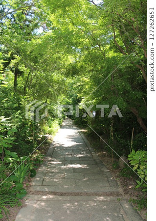 四國遍路第86座寺廟－志度寺的綠意與鮮花 127262651