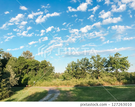 A clear blue sky with a few clouds and a path leading through a forest 127263010