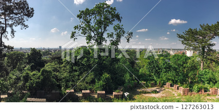 A lush green forest with a view of a city in the distance 127263013