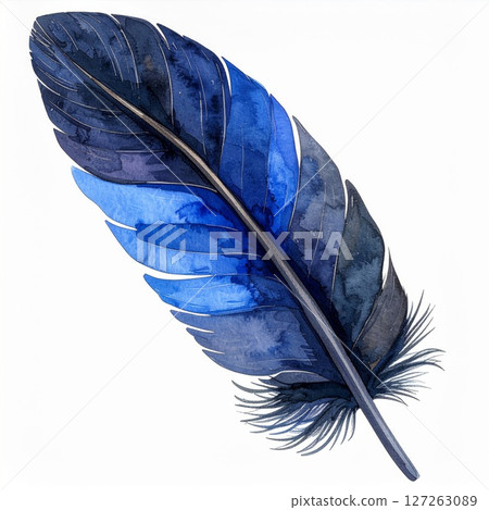 Blue and Dark Blue Watercolor Feather on White 127263089