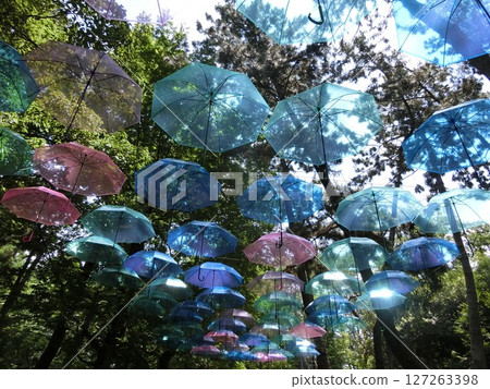 A beautiful umbrella that lets the sunlight through 127263398