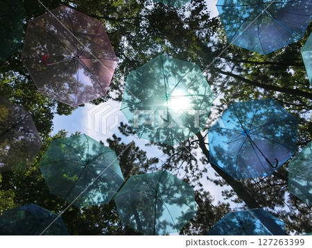 A beautiful umbrella that lets the sunlight through 127263399