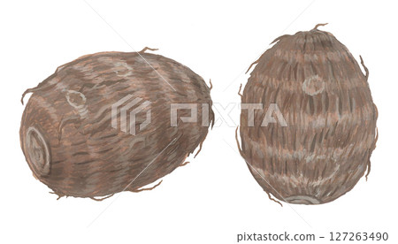 芋頭的插圖 127263490