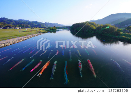Saba River Koinagashi 3689 127263506