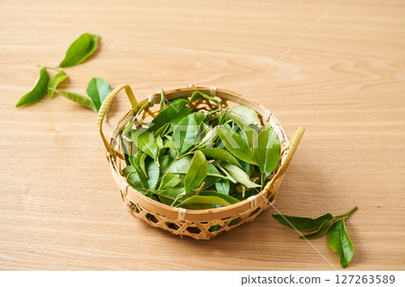 Freshly picked tea leaves 127263589