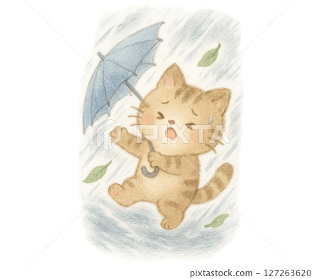 A cat struggling to be blown away by strong winds on a typhoon day 127263620