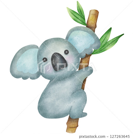 Koala and bamboo art, baby koala perched on tree branch in nature, charming wildlife closeup 127263645