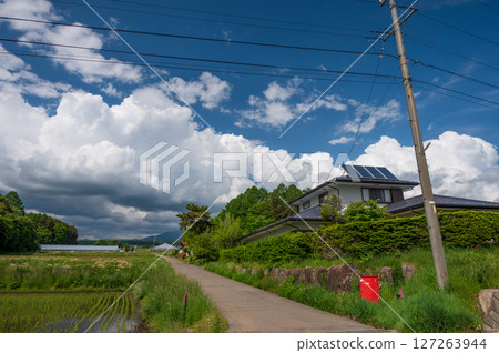 信州田園風光:初夏的鄉村 信州田園風光:初夏的鄉村 127263944