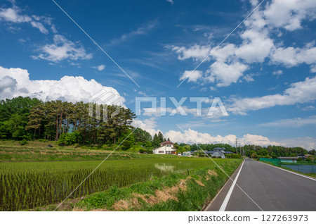 信州田園風光:初夏的鄉村 信州田園風光:初夏的鄉村 127263973