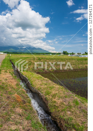 Rural scenery of Fujimi Town, Shinshu in early summer 127264171