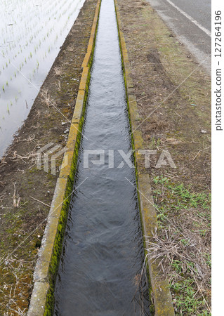 農業運河 127264196