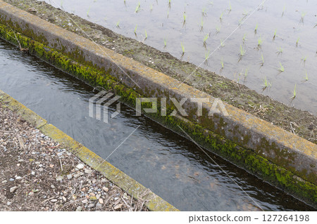 農業運河 127264198