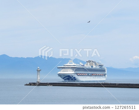 Shizuoka Prefecture White Lighthouse and Diamond Princess May 127265511