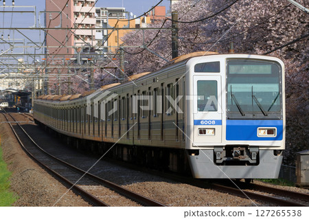 [SS] Seibu Haijima Line 6000 Series Train (Express: Seibu Shinjuku⇔Haijima) 127265538