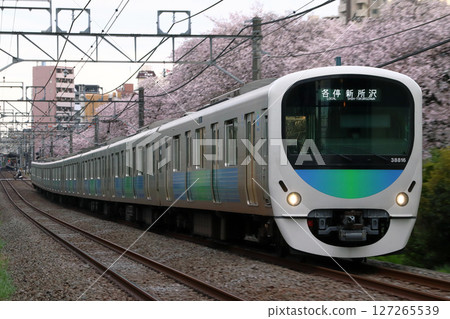 櫻花與西武新宿線30000系列列車（本地列車-8輛車：西武新宿⇔新所澤） 127265539