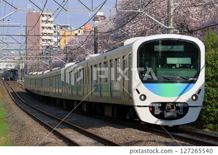 櫻花與西武新宿線30000系列列車(特快列車 - 8輛:西武新宿至新澤西) 櫻花與西武新宿線30000系列列車(特快列車 - 8輛:西武新宿至新澤西) 127265540