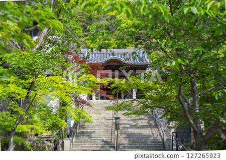 須磨寺：新綠環繞的唐門 127265923