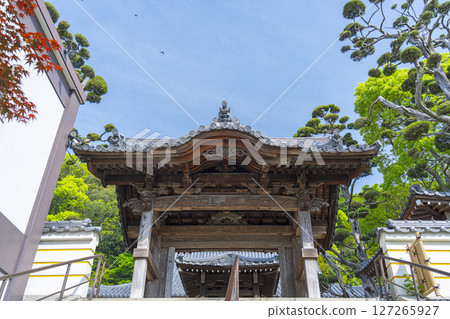 Suma-dera Temple: Main hall as seen from Karamon Gate Suma-dera Temple: Main hall as seen from Karamon Gate 127265927