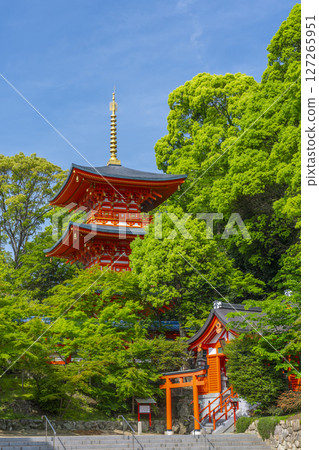 Suma-dera Temple: Three-story pagoda and Shusse Inari Shrine Suma-dera Temple: Three-story pagoda and Shusse Inari Shrine 127265951