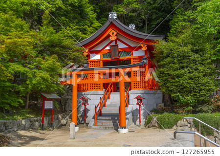 Sumadera Temple - Shusse Inari Shrine 127265955