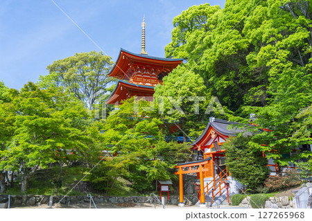 Suma-dera Temple: Three-story pagoda and Shusse Inari Shrine Suma-dera Temple: Three-story pagoda and Shusse Inari Shrine 127265968