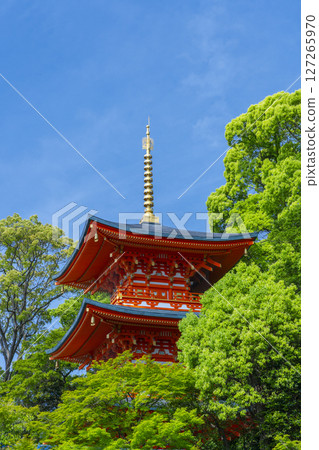 Suma-dera Temple: A three-story pagoda surrounded by fresh greenery Suma-dera Temple: A three-story pagoda surrounded by fresh greenery 127265970