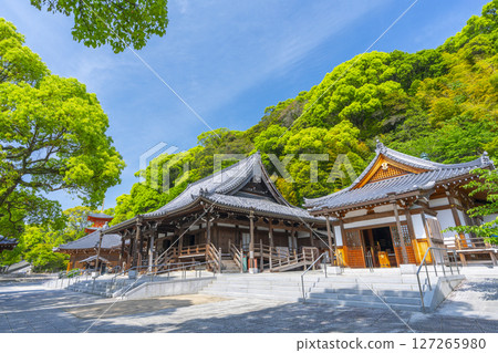 須磨寺本殿及護摩堂 須磨寺本殿及護摩堂 127265980