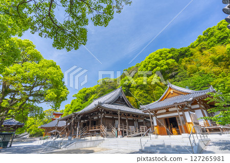 須磨寺本殿及護摩堂 127265981