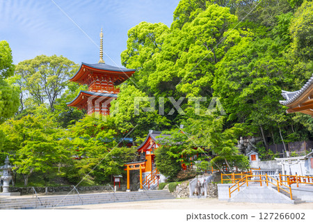Suma-dera Temple: Three-story pagoda and Shusse Inari Shrine 127266002