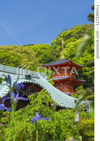 須磨寺：本殿和書院前的花園、鳶尾花和三重塔 127266011