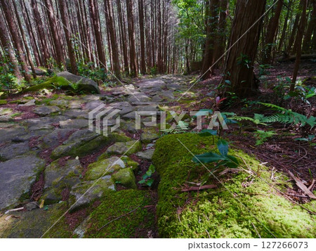 Magoshige Pass Magoshige Pass 127266073