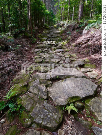 Magoshige Pass Magoshige Pass 127266153