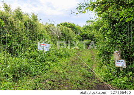 梅雨季節的城島 梅雨季節的城島 127266400
