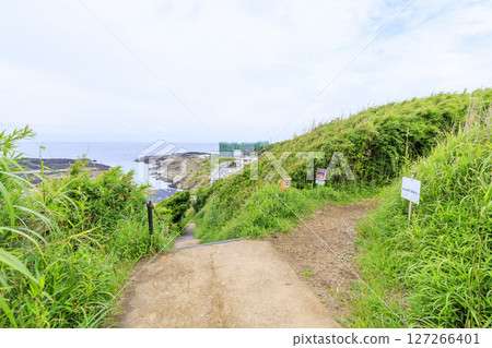Jogashima in the rainy season Jogashima in the rainy season 127266401
