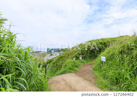 梅雨季節的城島 127266402